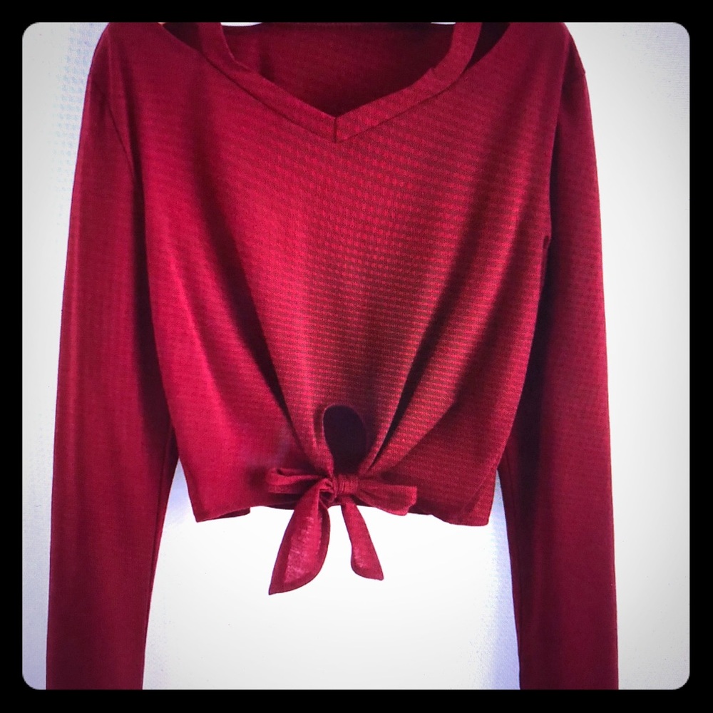 Cute Res Long Sleeve Crop Top